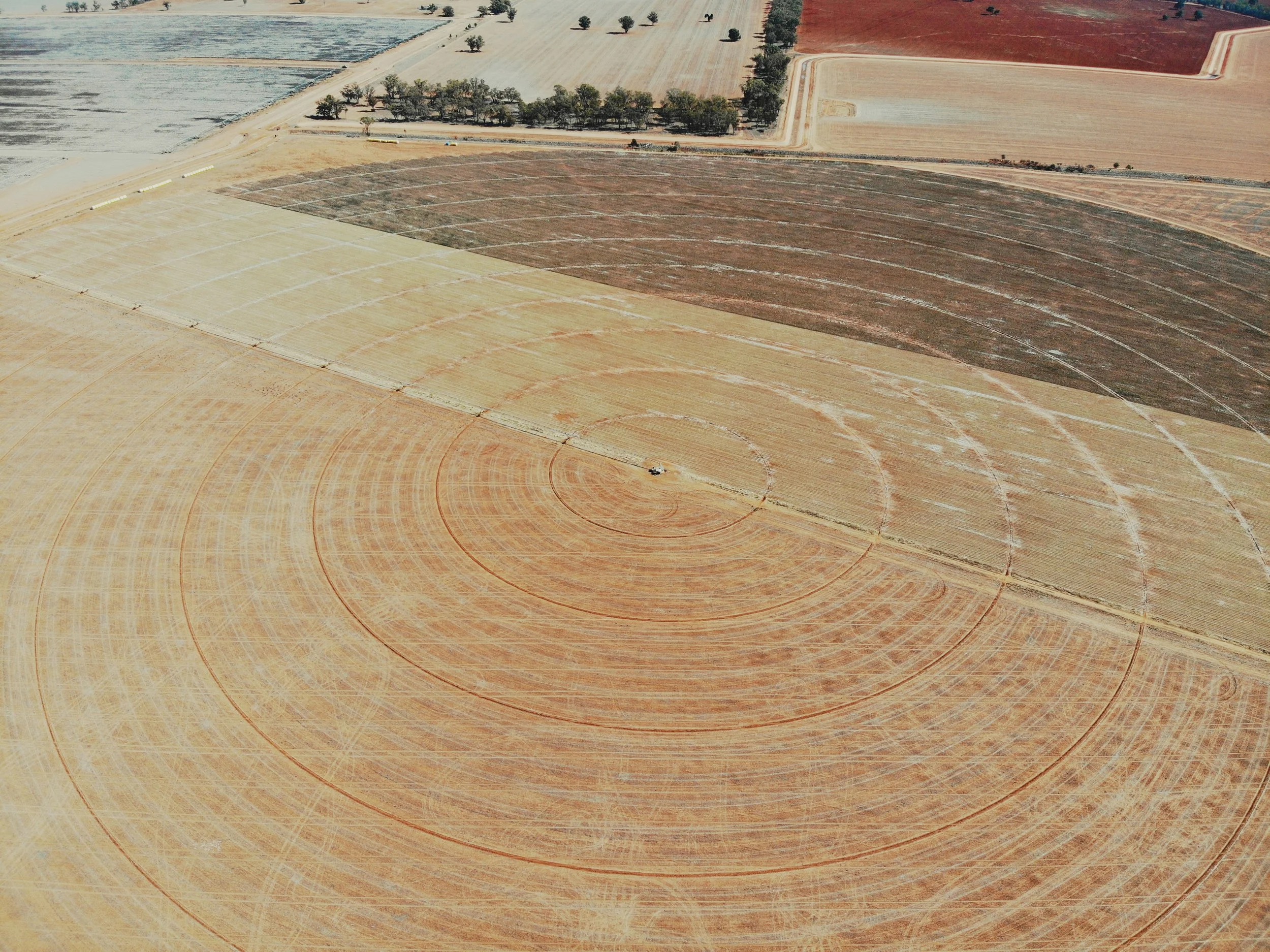 Chief Operating Officer - Agricultural Research - Coastal Mid-North WA