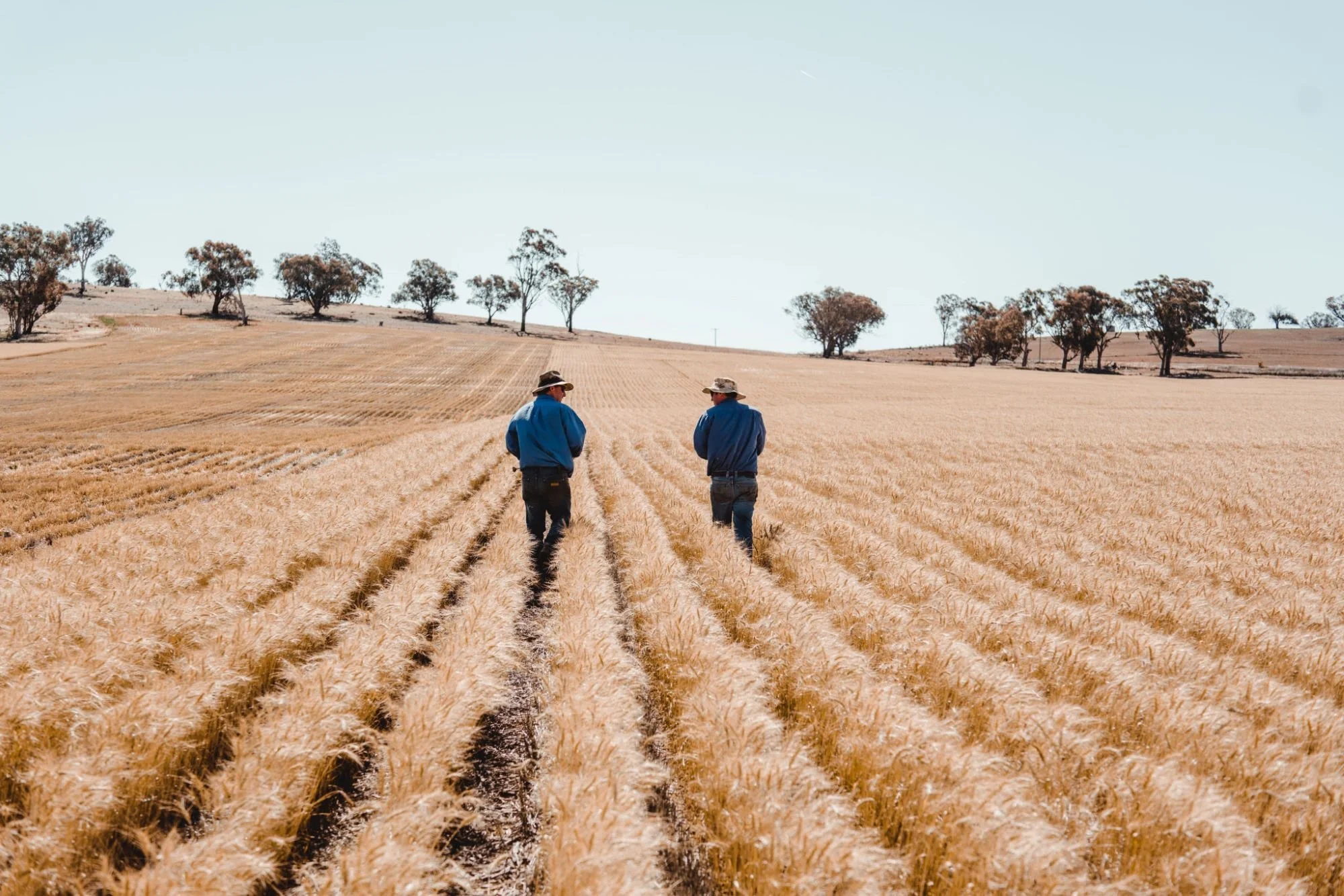 Sales Agronomist – Crop Inputs – Central or Southern NSW