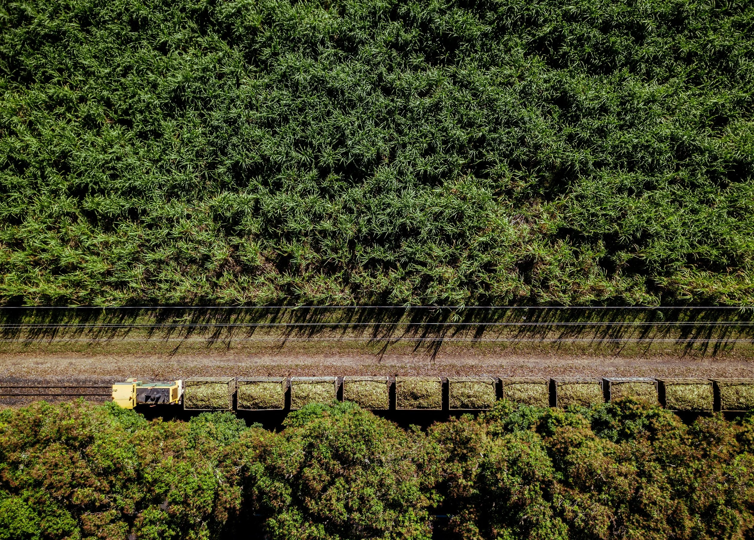 Branch Manager – Cane, Legumes &amp; Livestock - Whitsunday Region
