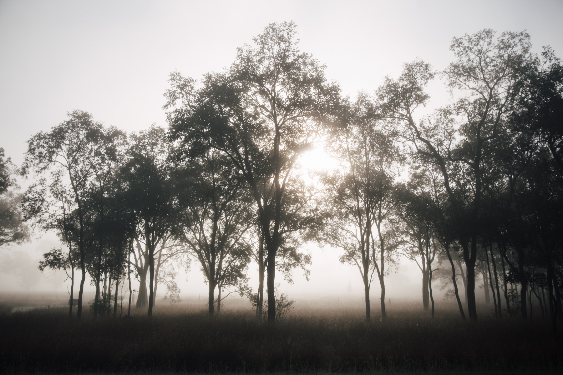 untitled-1.jpg