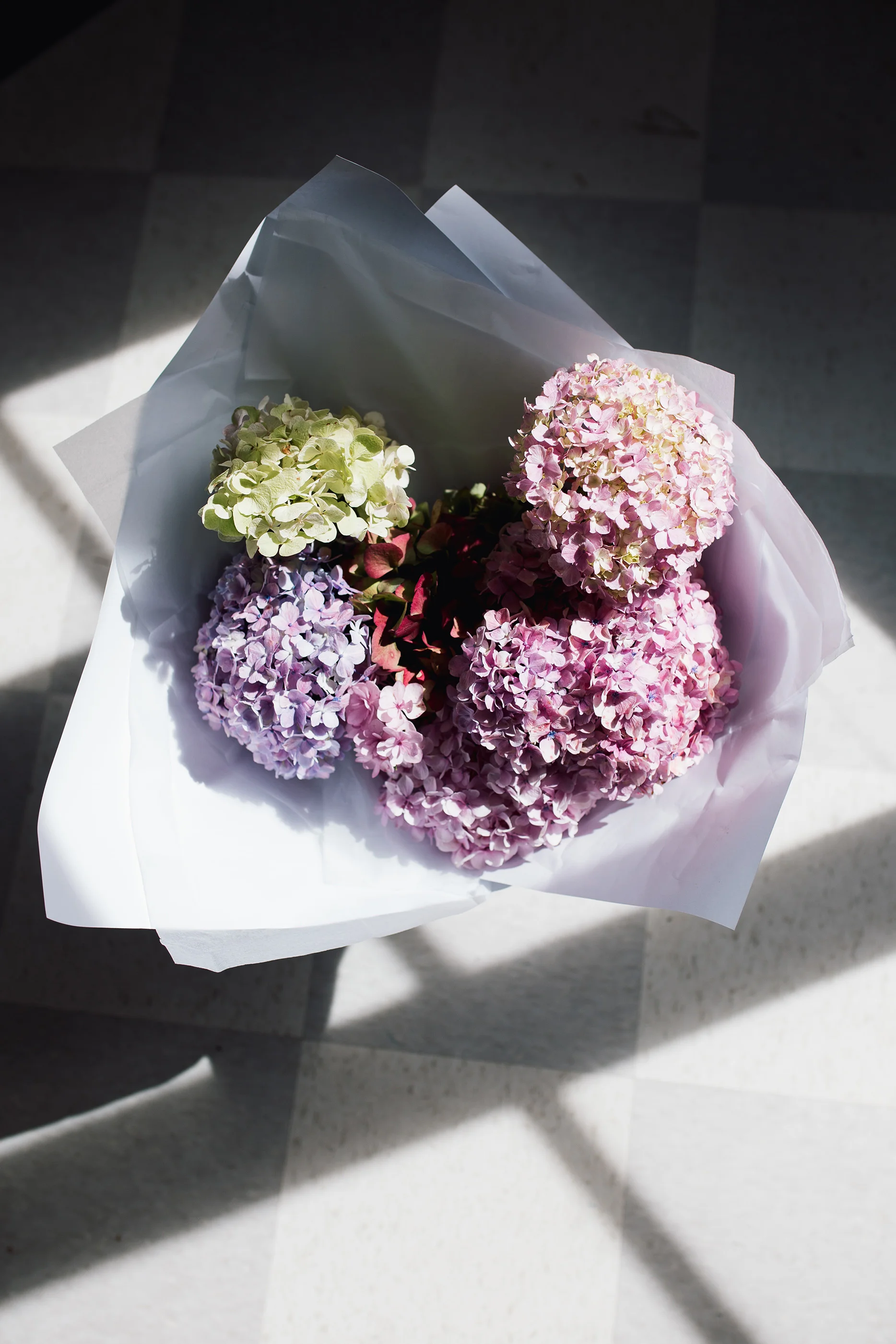Hydrangeas for a Friend 1 low res.jpg