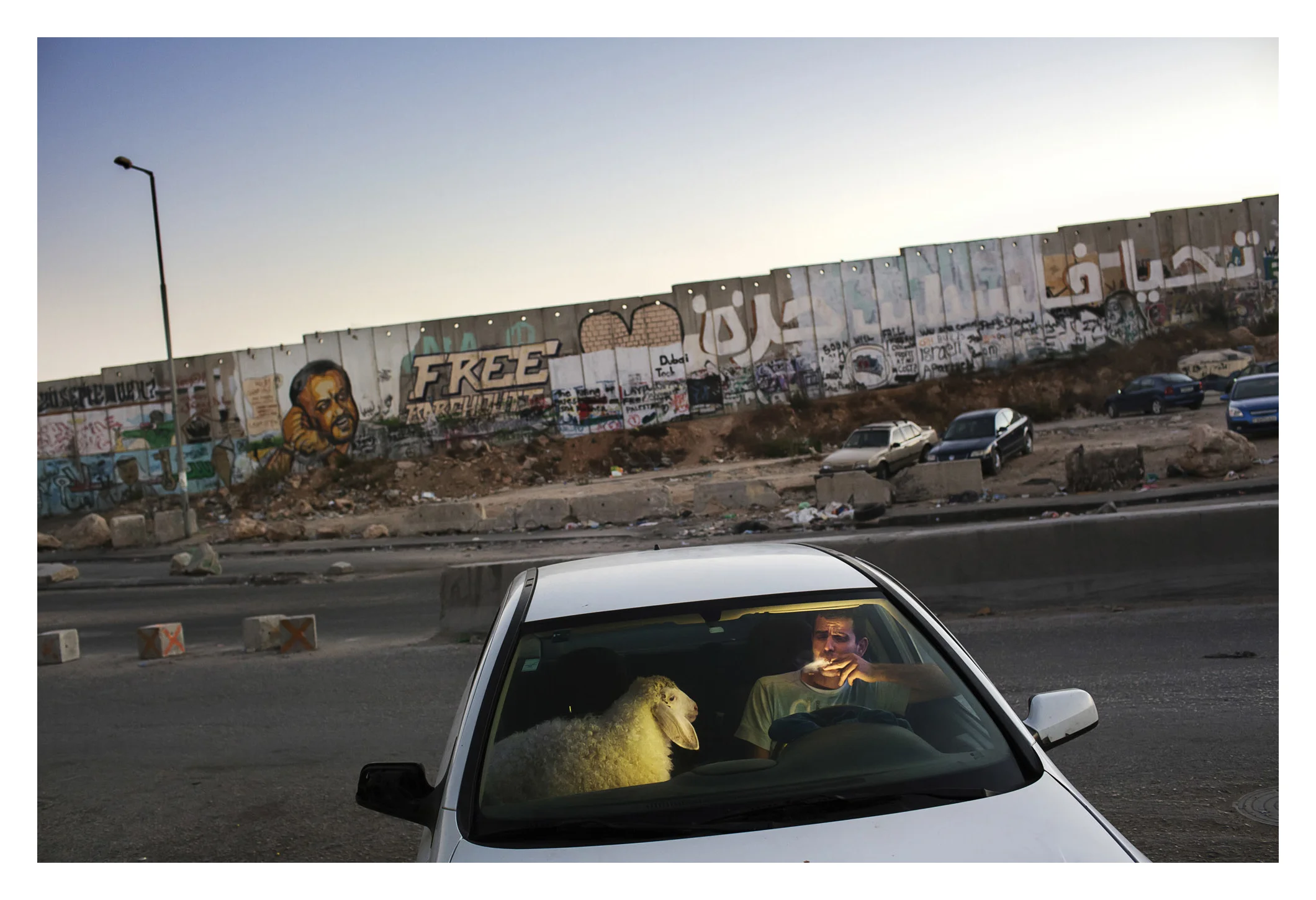 After grueling traffic at the Qalandia checkpoint, a young man enjoys a cigarette in his car as traffic finally clears on the last evening of Ramadan. He is bringing home a sheep for the upcoming Eid celebration.