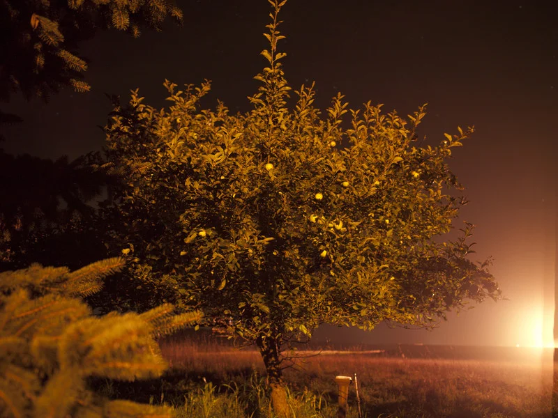 USA, Pennsylvania, September 2011, Methane Flaring from gas drilling wells.