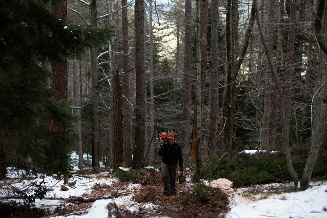  Felipe Mourao, a lumberjack, heads back to his truck after a day of work. Barre des Cévennes, January 16, 2017. Wood cutting activities are the third major economic activity in the region. Planning is made together by the Park administration and the