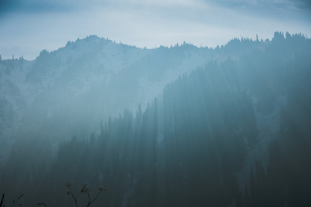 Kelis_Bahtiyar_The Mountains Float in Lilac Mist_3.jpg