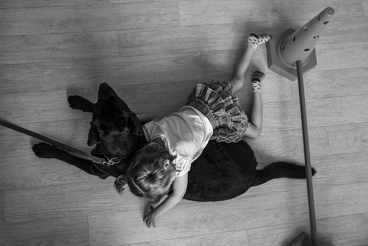  photo from the project "Lullabies for Alyona" Karaganda 2017
The lesson with a child and dog in the center of K9therapy 