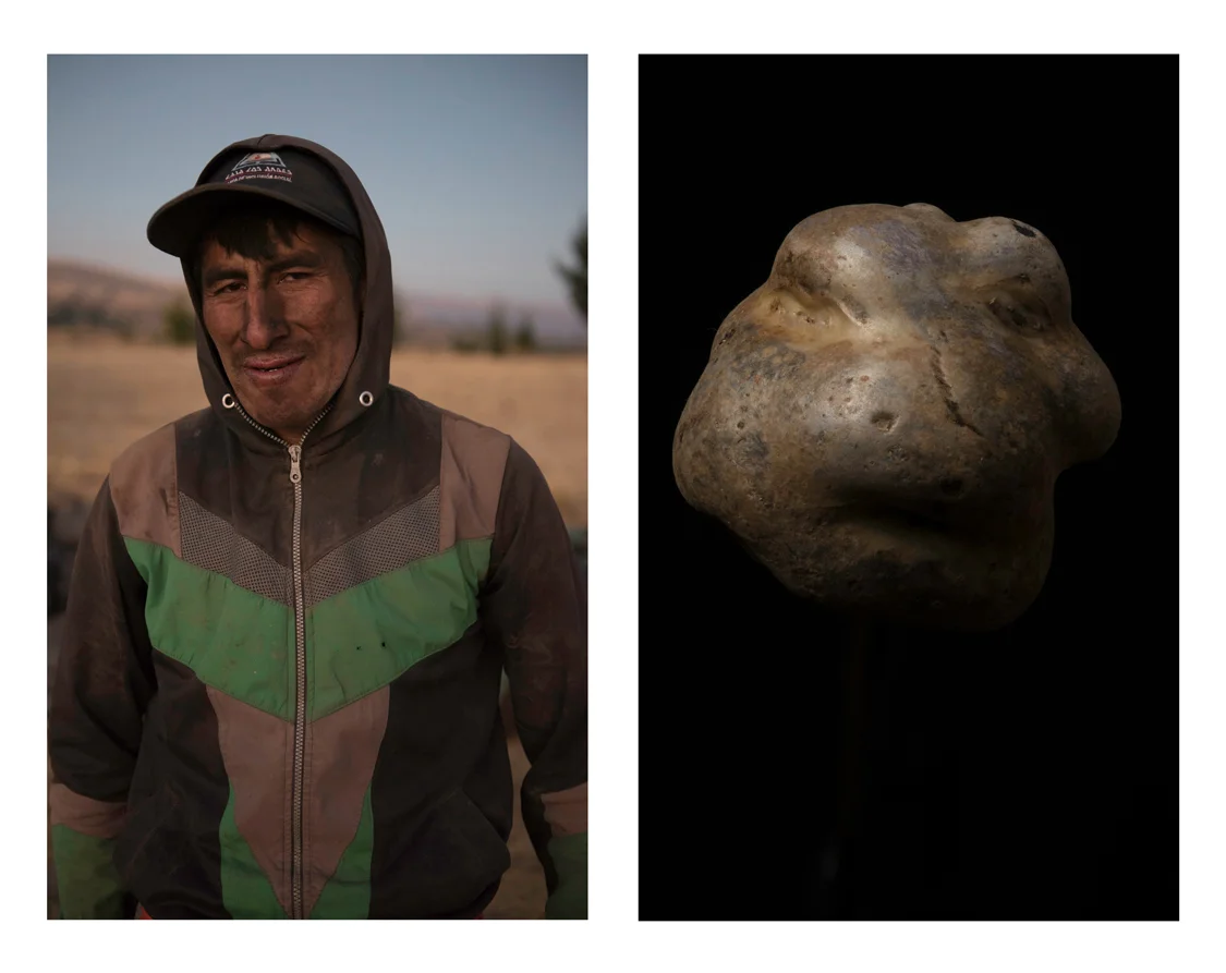  Maxi, a farmer on the left. A native potato variety called "kuchi pelo", on the right. 