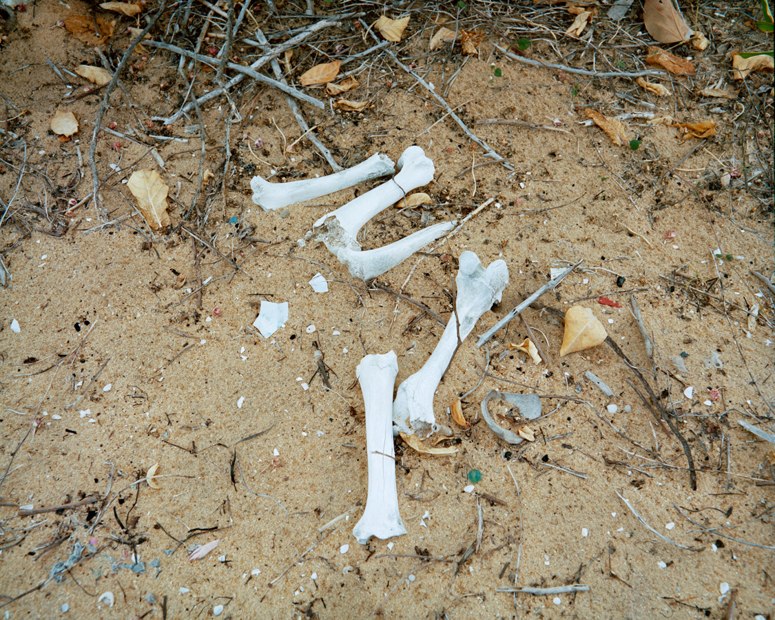  Human remains found on the beach near Putumattalan. The Sri Lankan army tryed very hard to clean the area’s of proof of what happened. Nevertheless you can still find proof of what happened.  