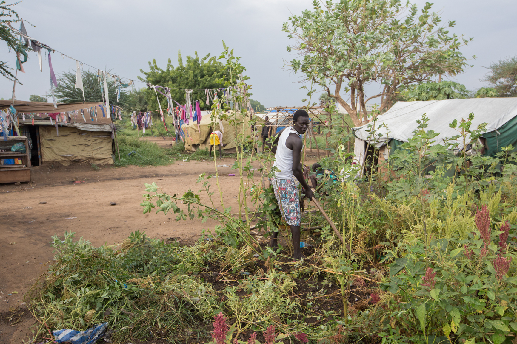  IDP working to clear space to farm at a cemetery where they live. 