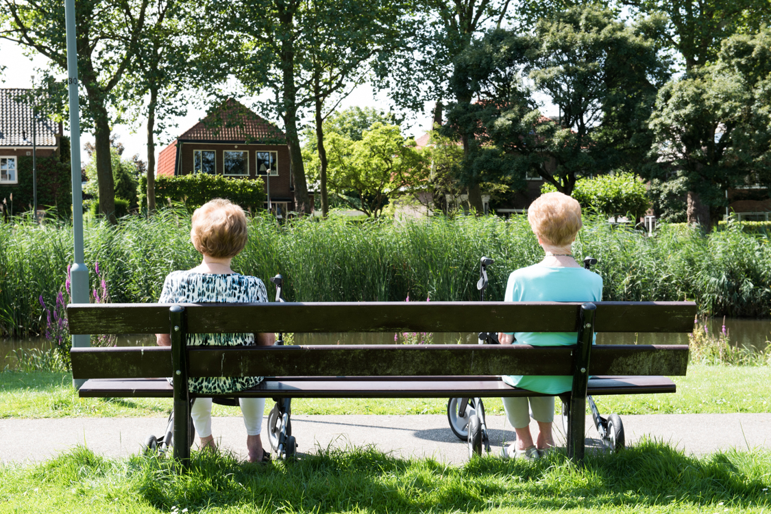 Sit at the park