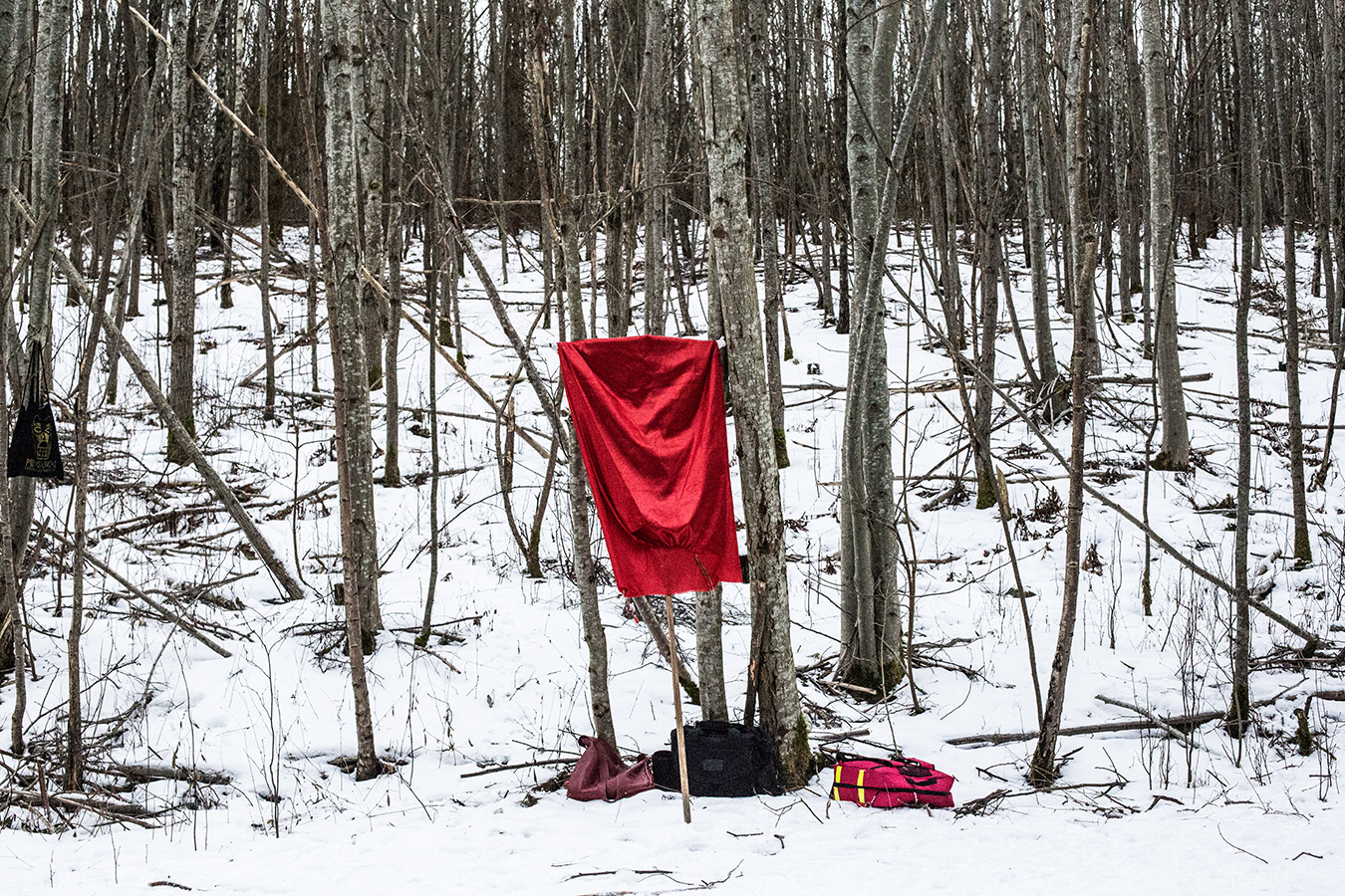  A mock battle banner rests in a forest during a training session for Viking reenactors in Norway. February 2018.  