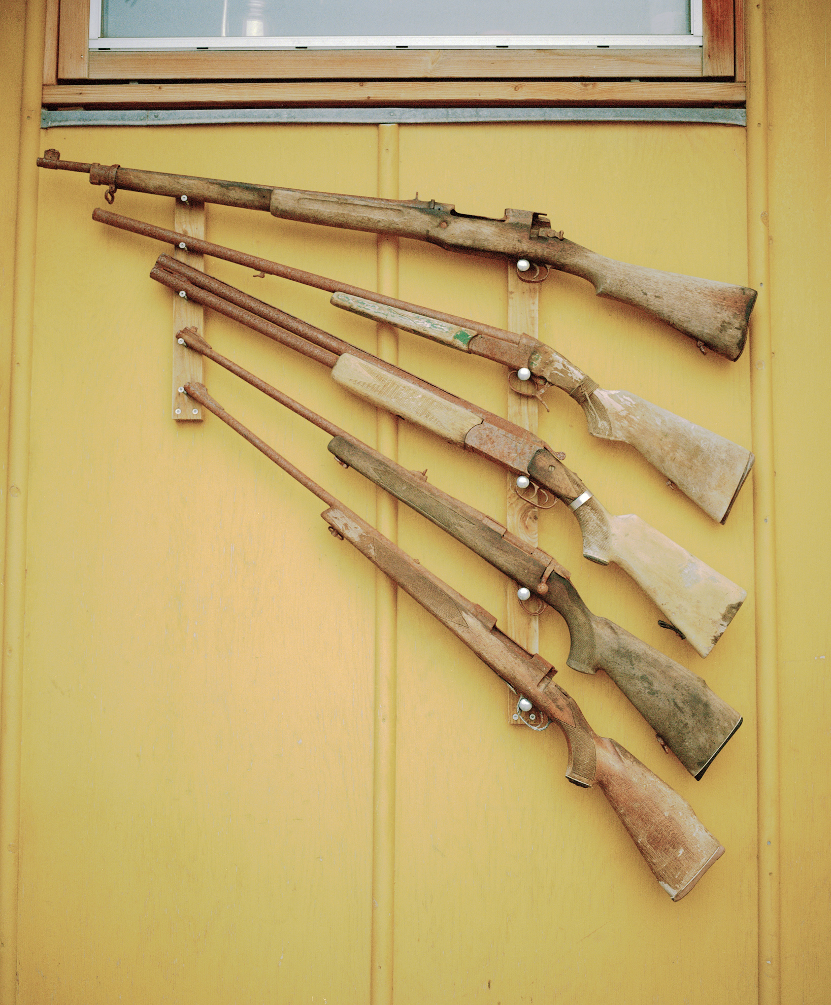  Old guns hang on the outside of a house in Uummannaq. Hunting is an old tradition, but the modern way of fishing provides more income because seal fur is no longer popular within the country or for exportation. 