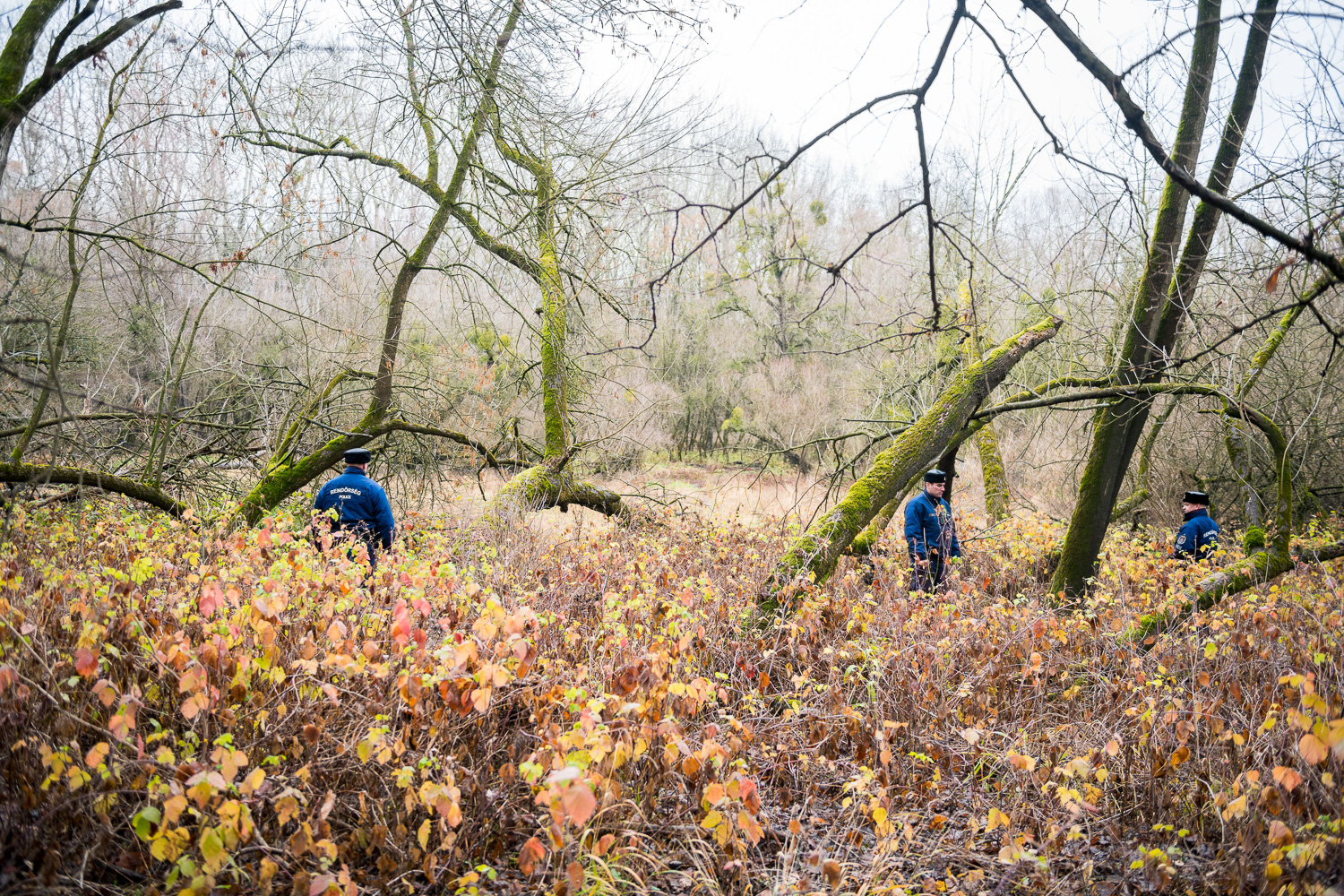  Policemen looking for signs of migrants near the barbed wire fence in the flood basin of Danube near Kölked, Hungary 9 December 2017. The fence was constructed in the middle of the European migration crisis in 2015, with the aim to ensure border sec