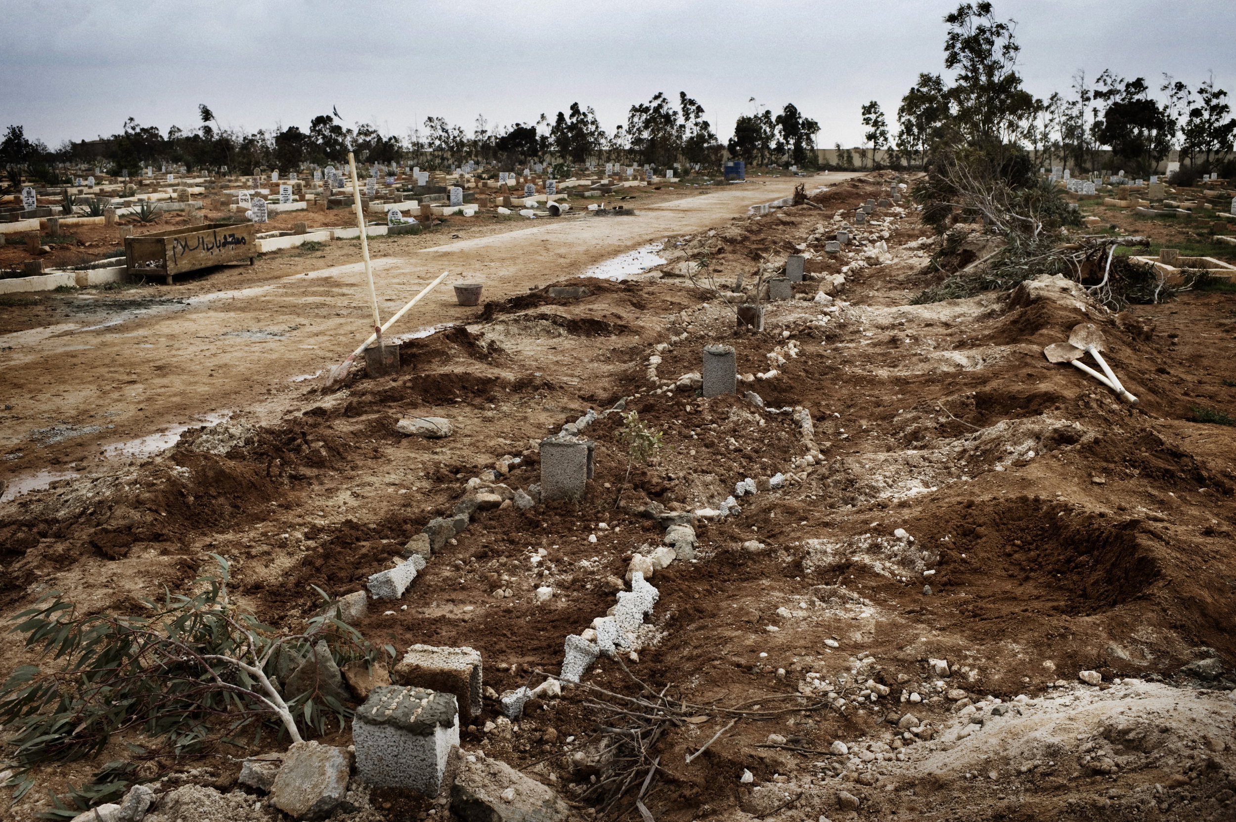   BENGHAZI, LIBYA - FEBRUARY 25: Freshly dug graves appear at the cemetery in Benghazi.

 