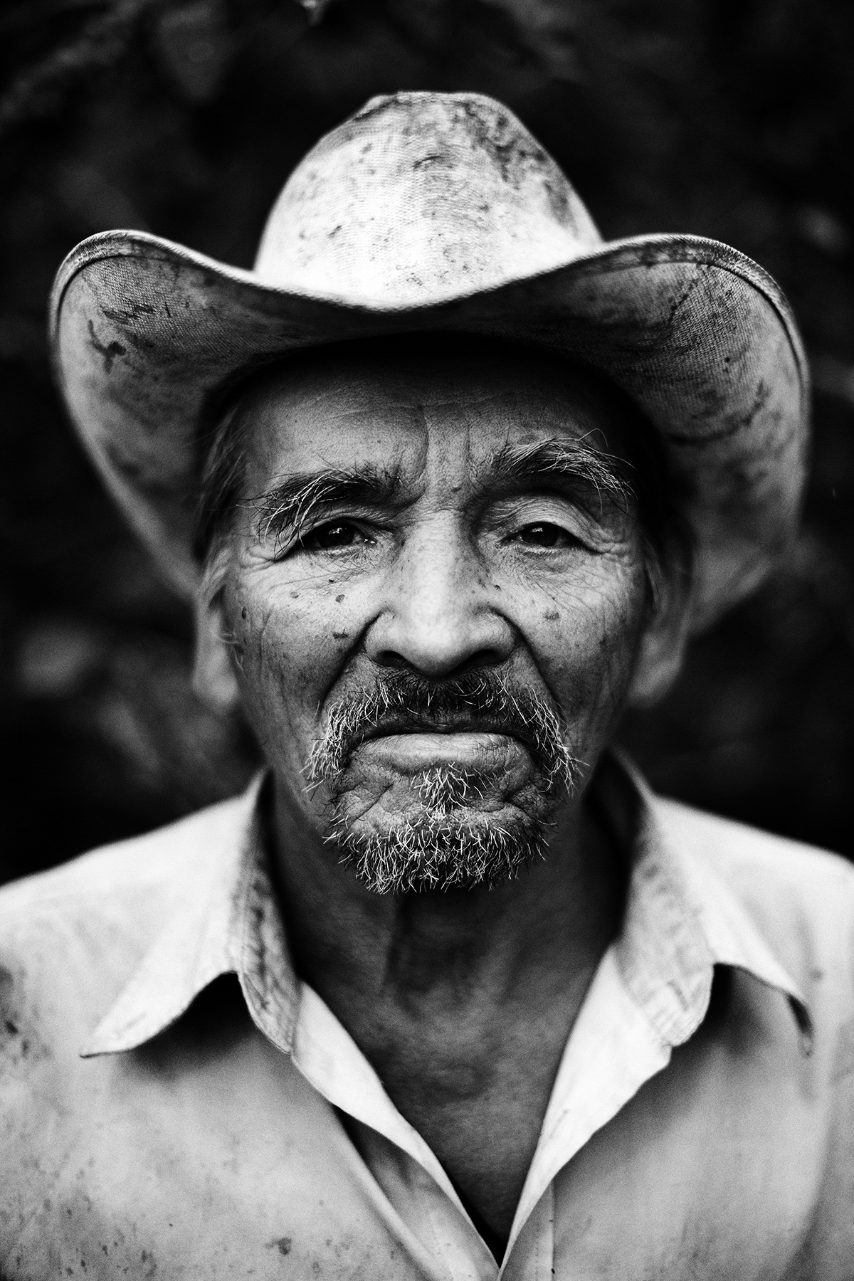  Jinotega, Nicaragua.
October 2010.
Portrait of Isidro Martinez, he grows organic coffee and corn using agroforestry system.
Isidro has access to a Organic farming microcredit. 