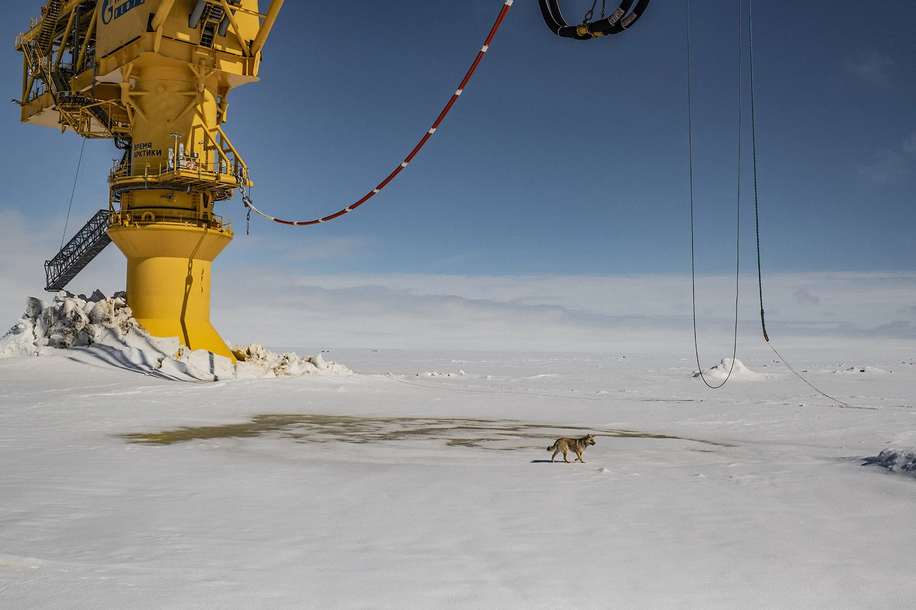 Russia, Yamal Peninsula, Cape Kemenny, May 2018
Gazprom Neft's "Arctic Gate" terminal in Gulf of Ob.
The Novoportovskoye is one of the biggest oil fields in the Yamal Peninsula. The field is located 30 km from the coast of the Ob bay, and oil is transported by pipeline to Cape Kamenny where a terminal facility has been developed.
The company Gazprom Neft is operating the Novy Port project, which is built to be able to deliver up to eight million tons of oil per year. A fleet of six tankers are being built for the Novy Port. The first vessels of the new fleet, the «Shturman Albanov» and the «Shturman Malygin» were put on the water in early 2016. The third fleet tanker, the “Shturman Ovtsyn” set course for the history books when it in mid-winter 2017 left the yard of the Samsung Heavy Industries in South Korea, made it through the Bering Strait and sailed all the way to Yamal. Later, also the «Shturman Shcherbinin» and the «Shturman Koshelev» were built.
Yuri Kozyrev / NOOR for Carmignac Foundation