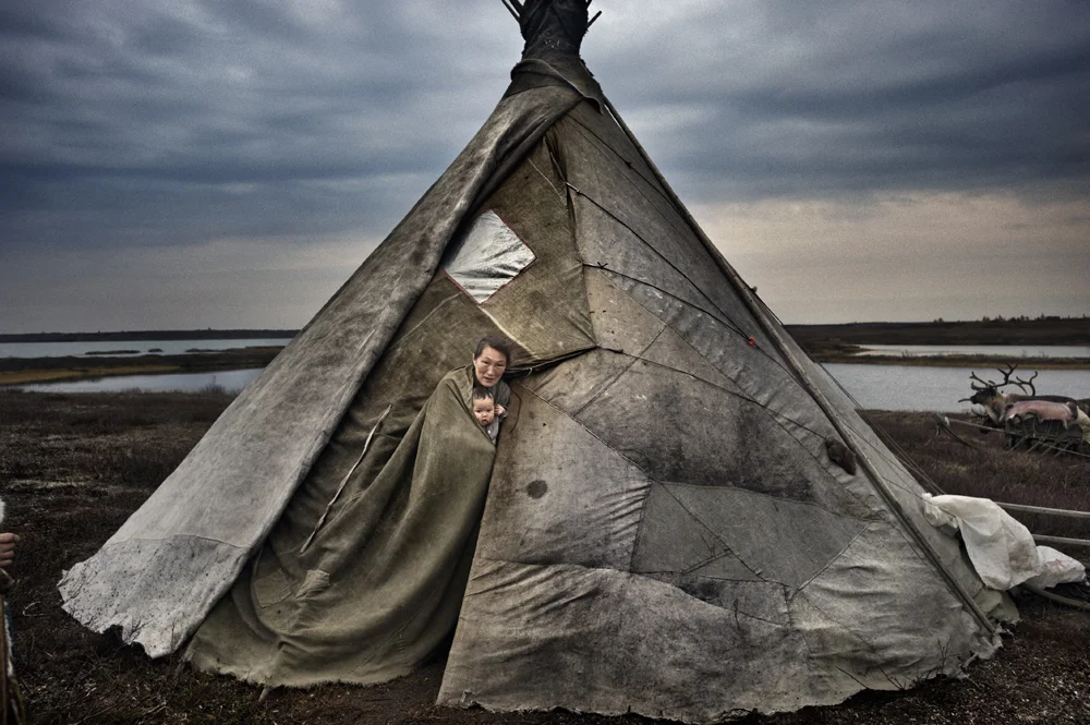 Yamal peninsula,�north-west Siberia, Russia:Three �Nenet �families�live on the tundra in a reindeer-skin tents or chums (ital); the group has around 600 reindeer.