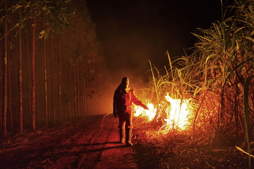 Brazil. São Paulo. Usina São Manoel. 12 October 2010.
Sugar cane fields burning prior to hand harvesting is generally performed at night, to reduce the polluting effects of smoke clouds on workers and communities living on the outskirts of the cane fields.
Fields burning not only is a particularly polluting practice and an environmental incoherence for an industry that claims to produce a green alternative to fossil fuels, but it is also counter-productive in terms of ethanol yields. The extra plant matter could be processed to obtain 2nd generation bio-fuels (cellulosic ethanol) or be burned in cogeneration power plants that make sugar cane mills energy self-sufficient.