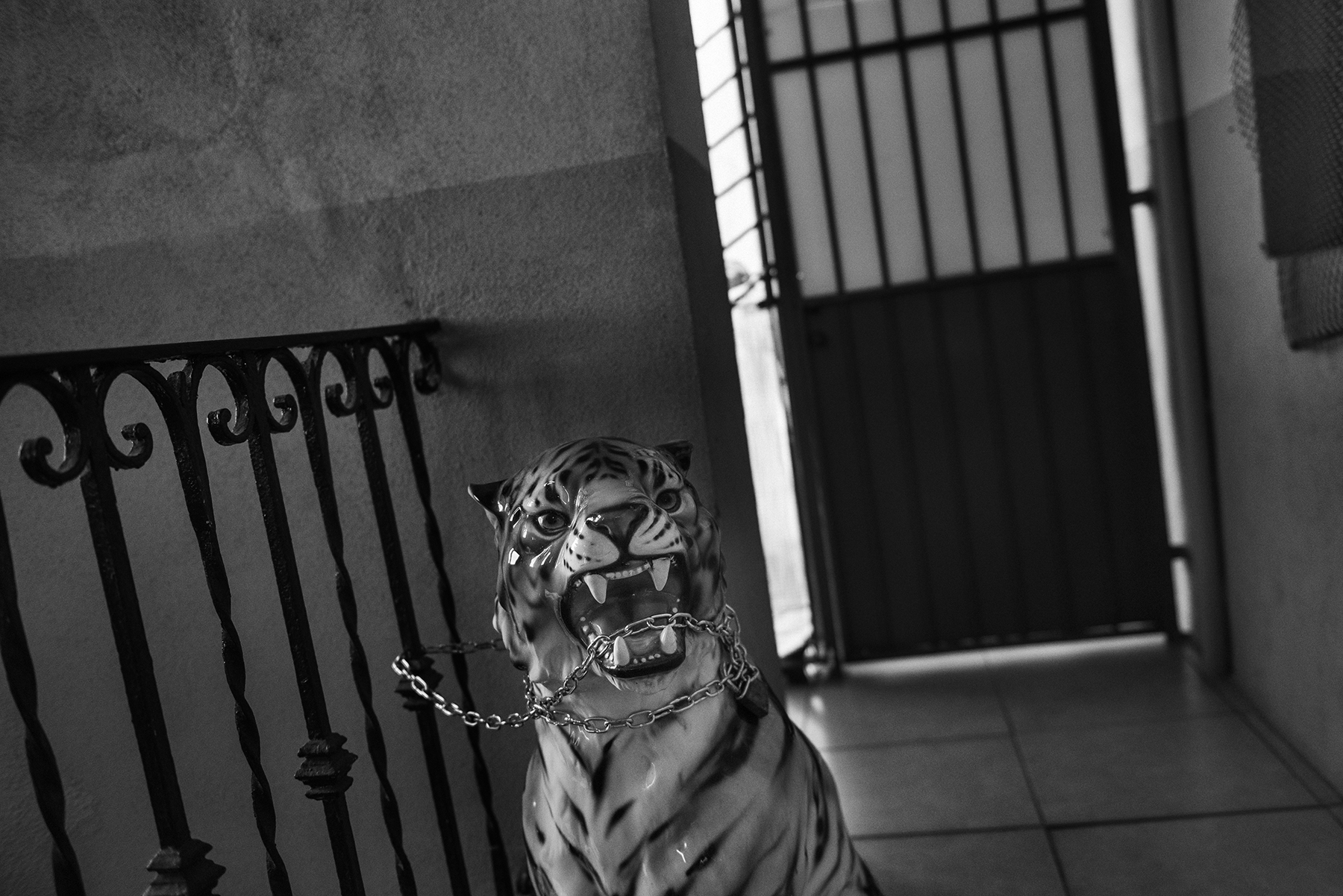  A tiger statue inside the former council estate building of Jacob Bamba (30), with shared toilets on the balconies, in the working class district of Barriera di Milano in Turin, Italy; November 2018. 