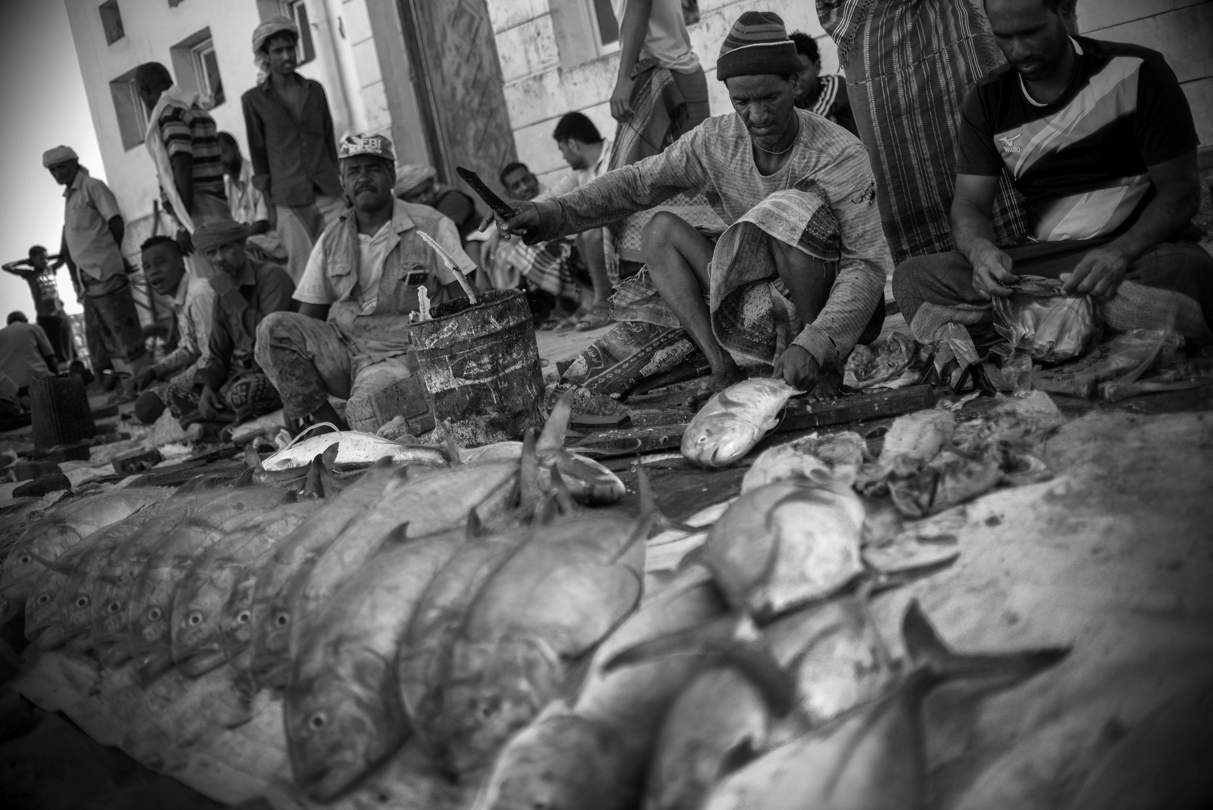  Project Socotra: The invisible Island February 2019
Fishing is the main income for the natives on Socotra. Each morning they go to an improvised fishing market, around an abandoned building in the capital Hadibu. 