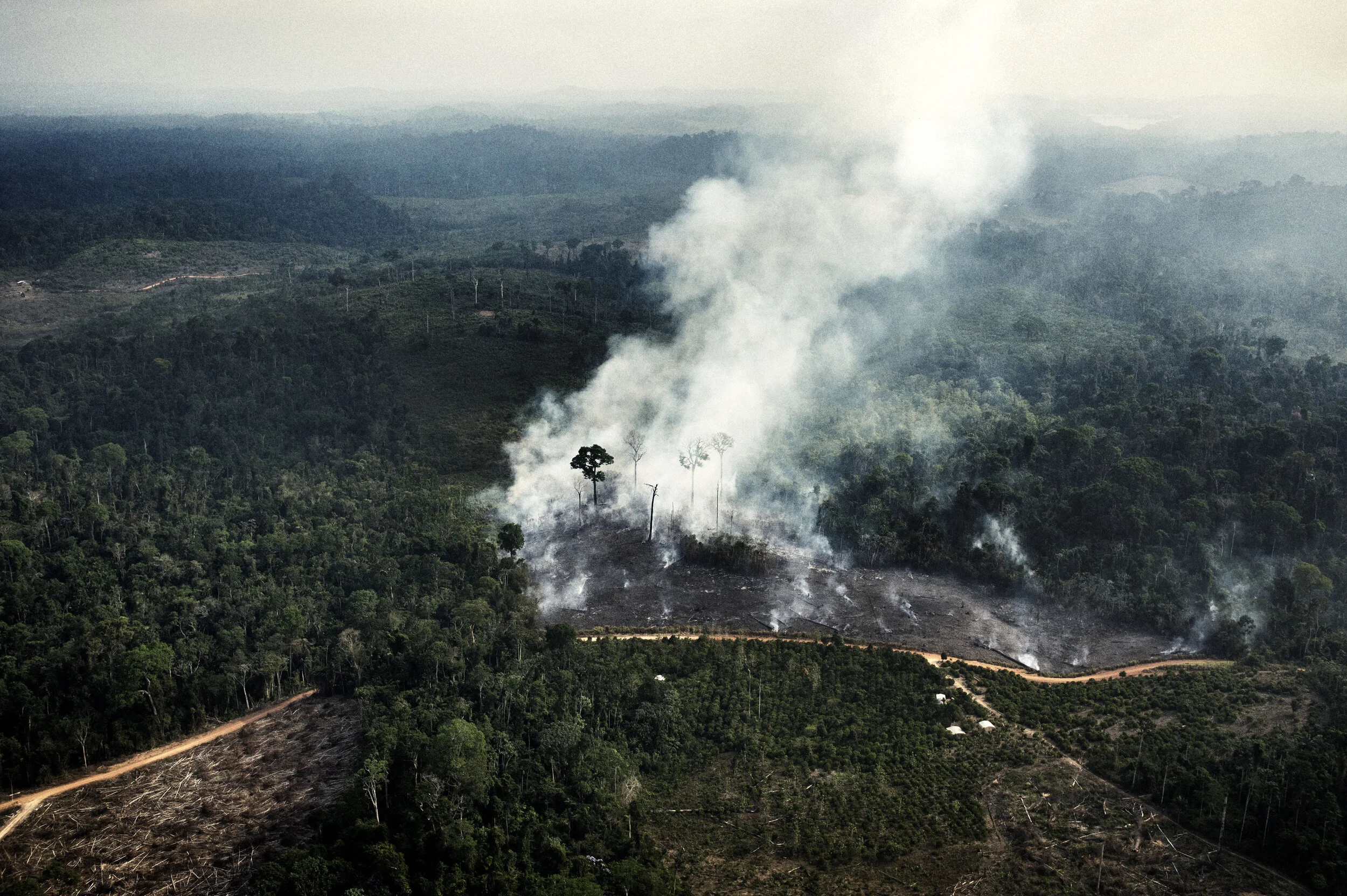  Belo Monte  Brazil  October 2012
A deforested area along the border of the Xingu River, in the region where the Belo Monte dam is due to be built

 