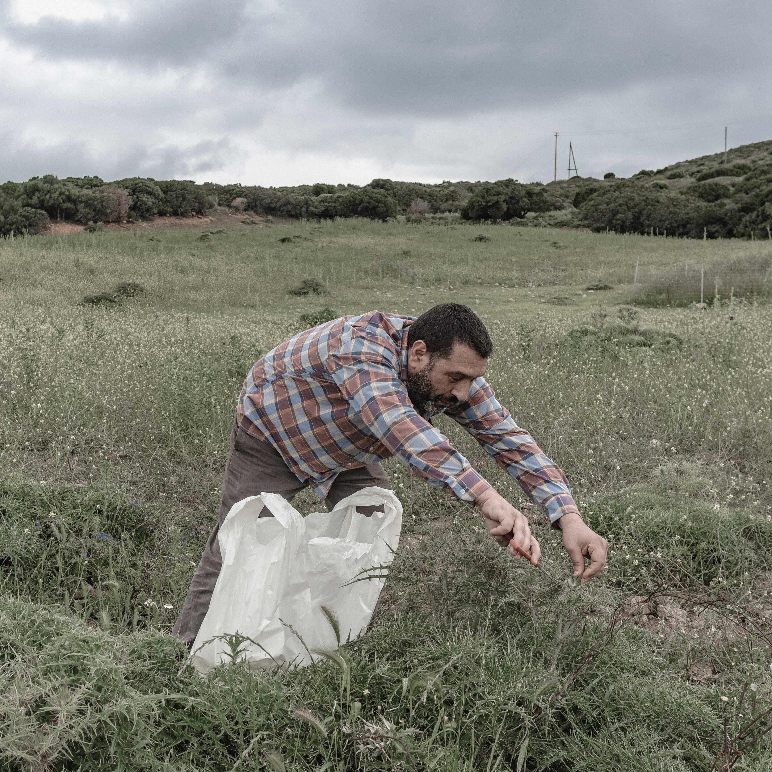  In 1993 the government declared Portoscuso an area "at high risk of environmental crisis". in 2014 the mayor ordered the disposal of sheep and goat milk and prohibited the marketing of fruit and vegetables grown in the municipal area. 