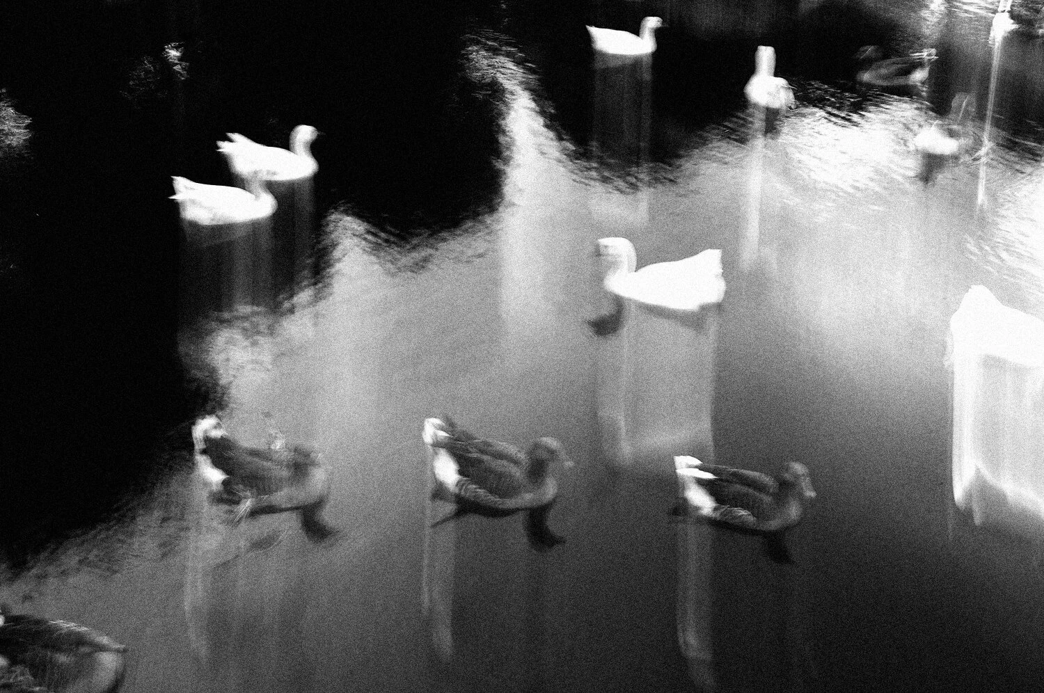 05.JPG