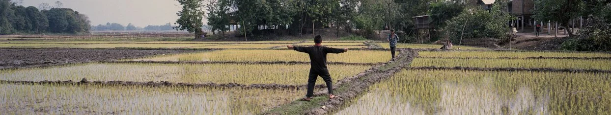 noor final_pres_andras.022.jpeg