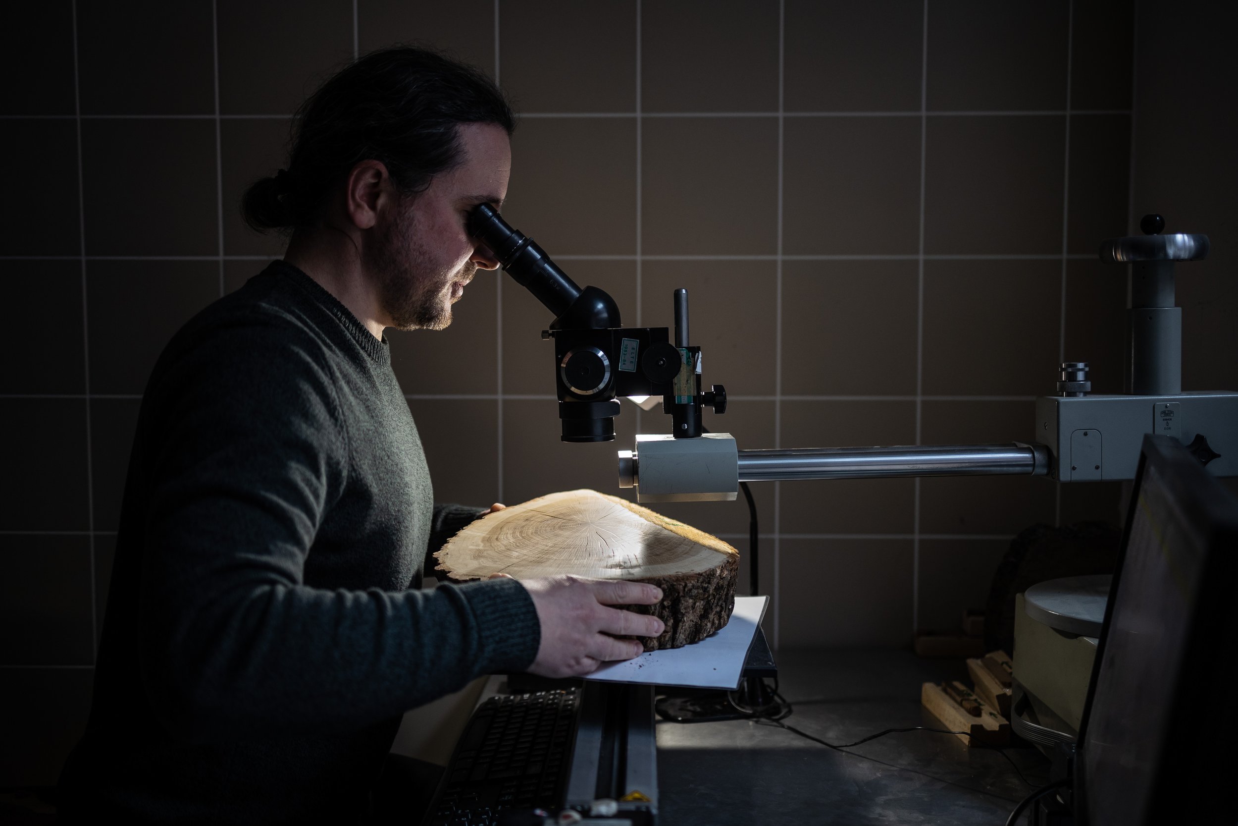  Hungary, Budapest, 27. 01. 2023.                   Mátyás Árvai dendrologists observes a slice of oak tree in the dendro laboratory at Eötvös Lóránd University            Photo: Márton Kállai / NOOR 