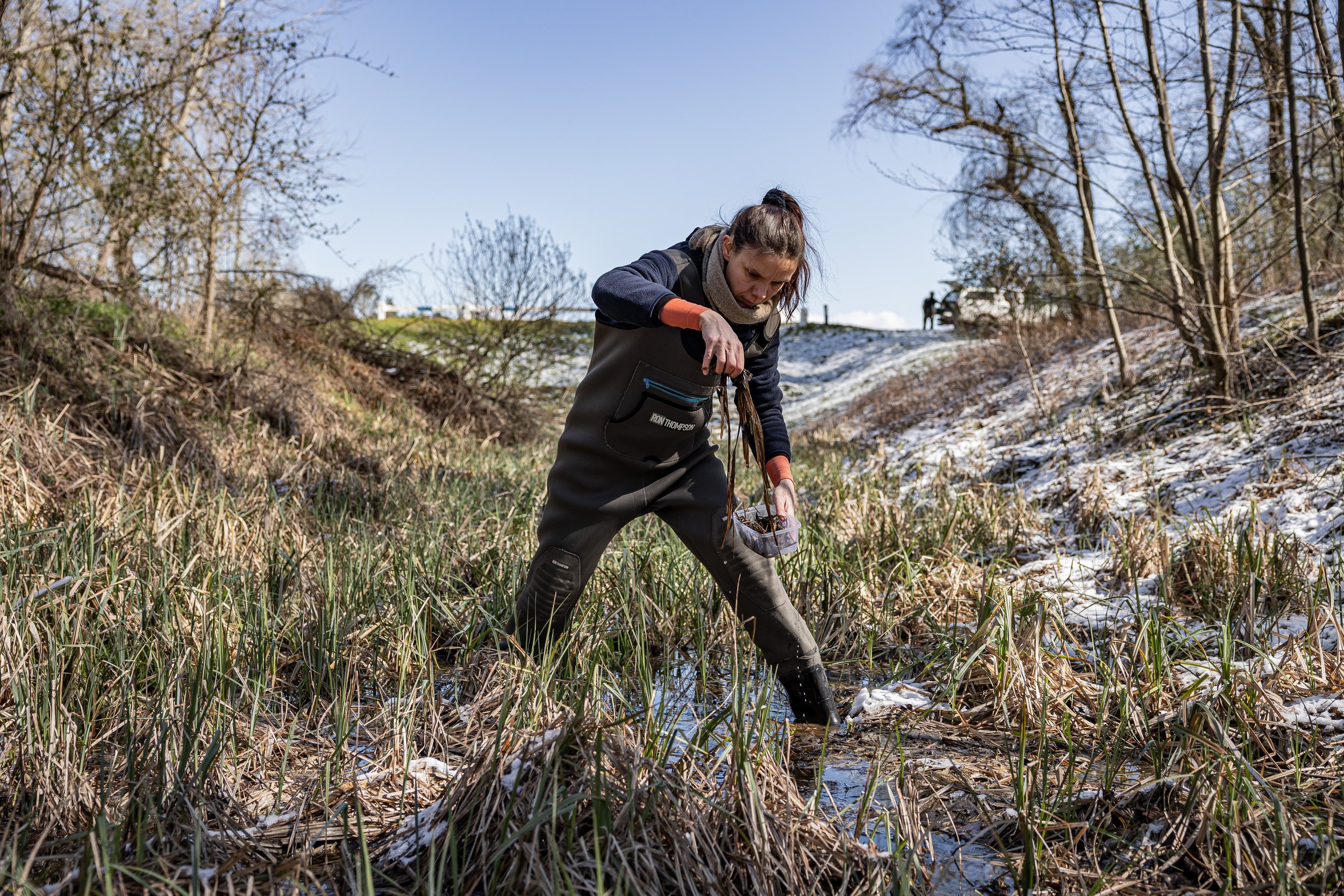  Hungary, Debrecen, Fancsika II Reservoir, 28. 03. 2023.  Béres Viktória biologist at work      Photo: Márton Kállai / NOOR                                       Almost 60% of the streams and rivers worldwide cease to flow at least once a year. Inter