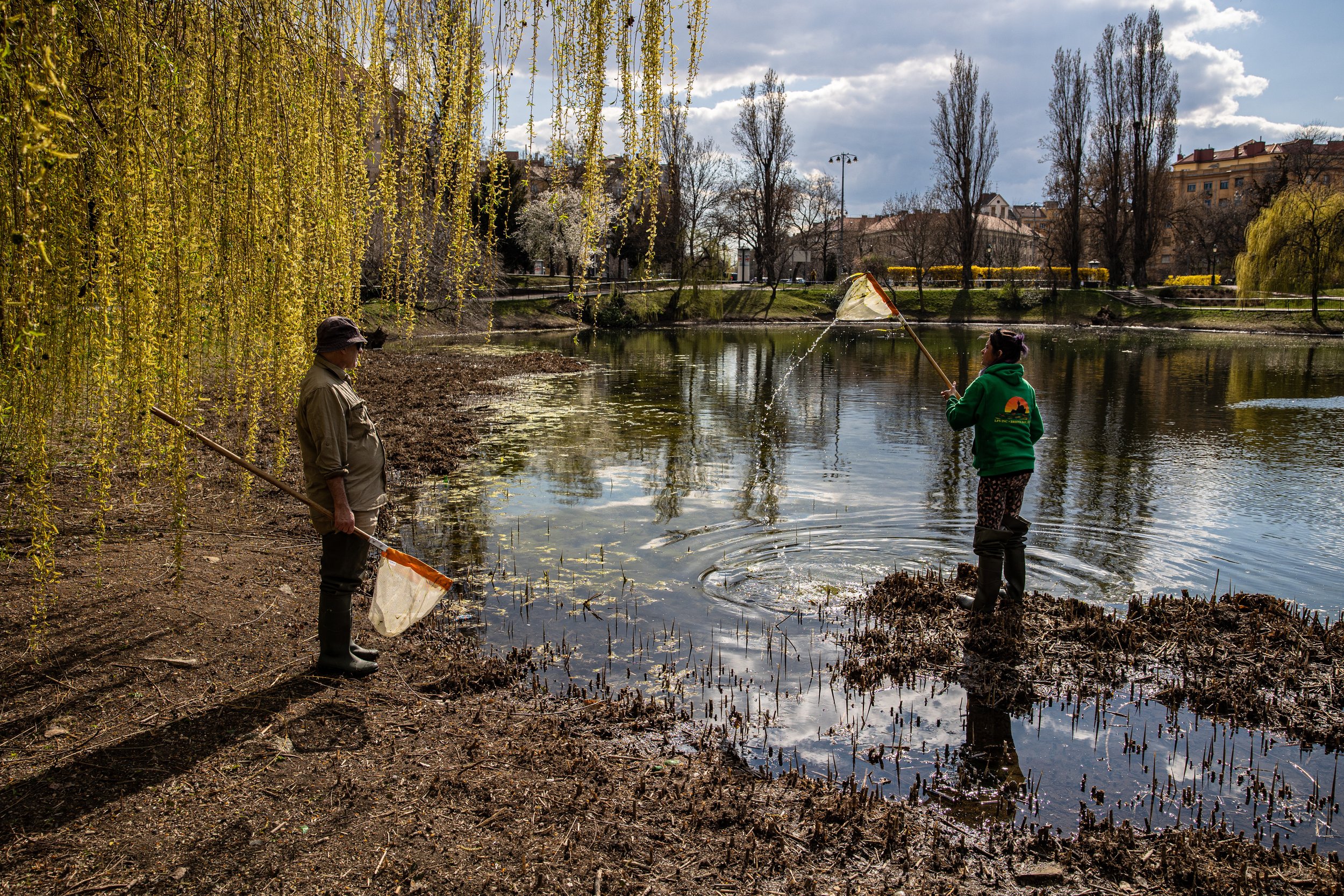  Hungary, Feneketlen lake, Budapest, 21. 03. 2023  Andrew Hamer and his colleague at work Photo: Márton Kállai / NOOR                                        Effects of urbanisation, a drying climate and invasive fish on amphibiancommunities in Hungar