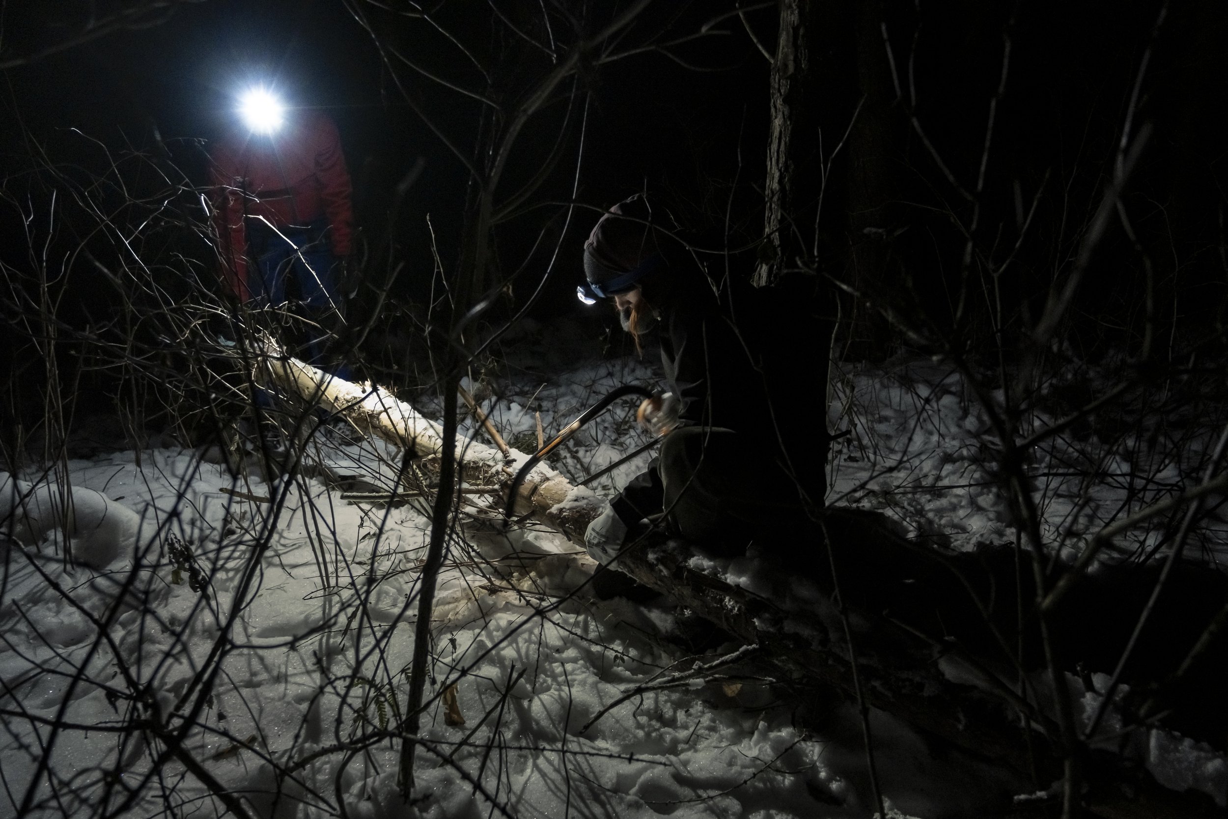  In the forest, women carefully select dry tree trunks in advance and then secretly cut them down into smaller pieces late at night, so that they can easily carry them home. 