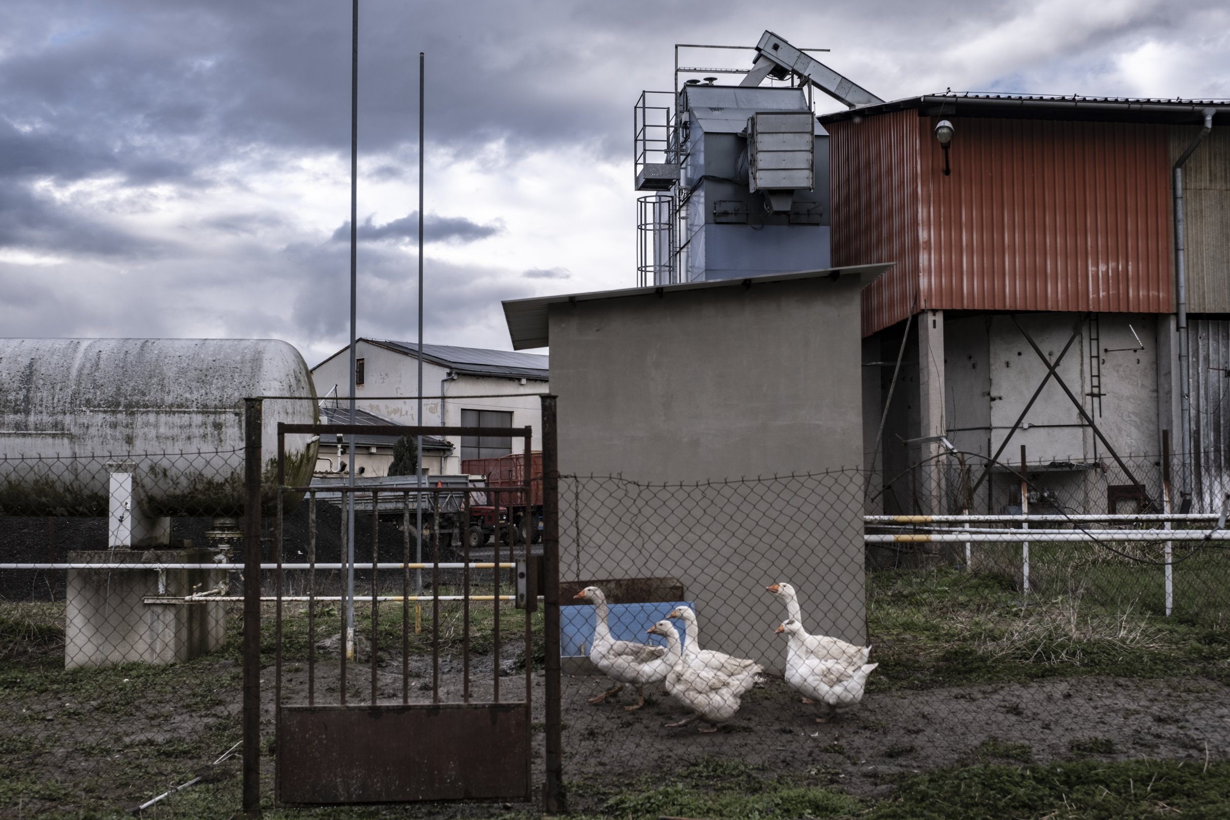  Wood is also used for heating at the local farm, which specializes in animal husbandry and crop cultivation. 