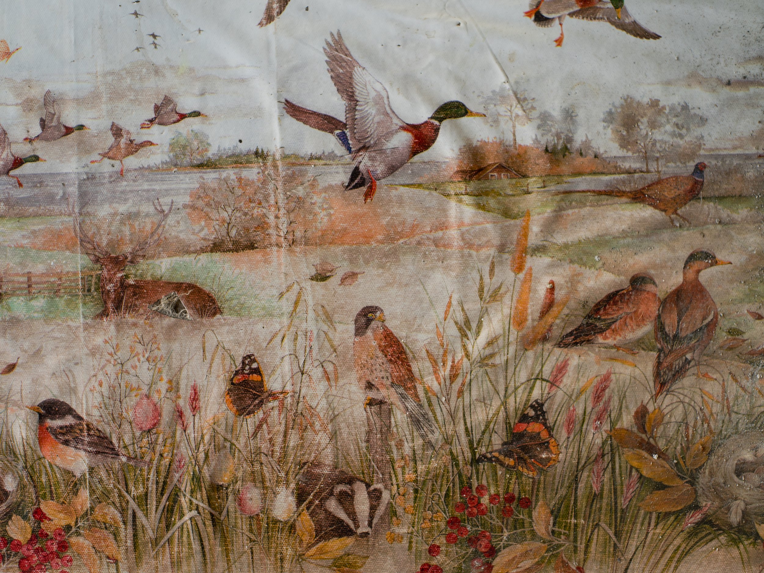  Hungary, Kisizsák, 7 January 2023Once upon a time there was wildlife. Aunt Eta's vinyl tablecloth 