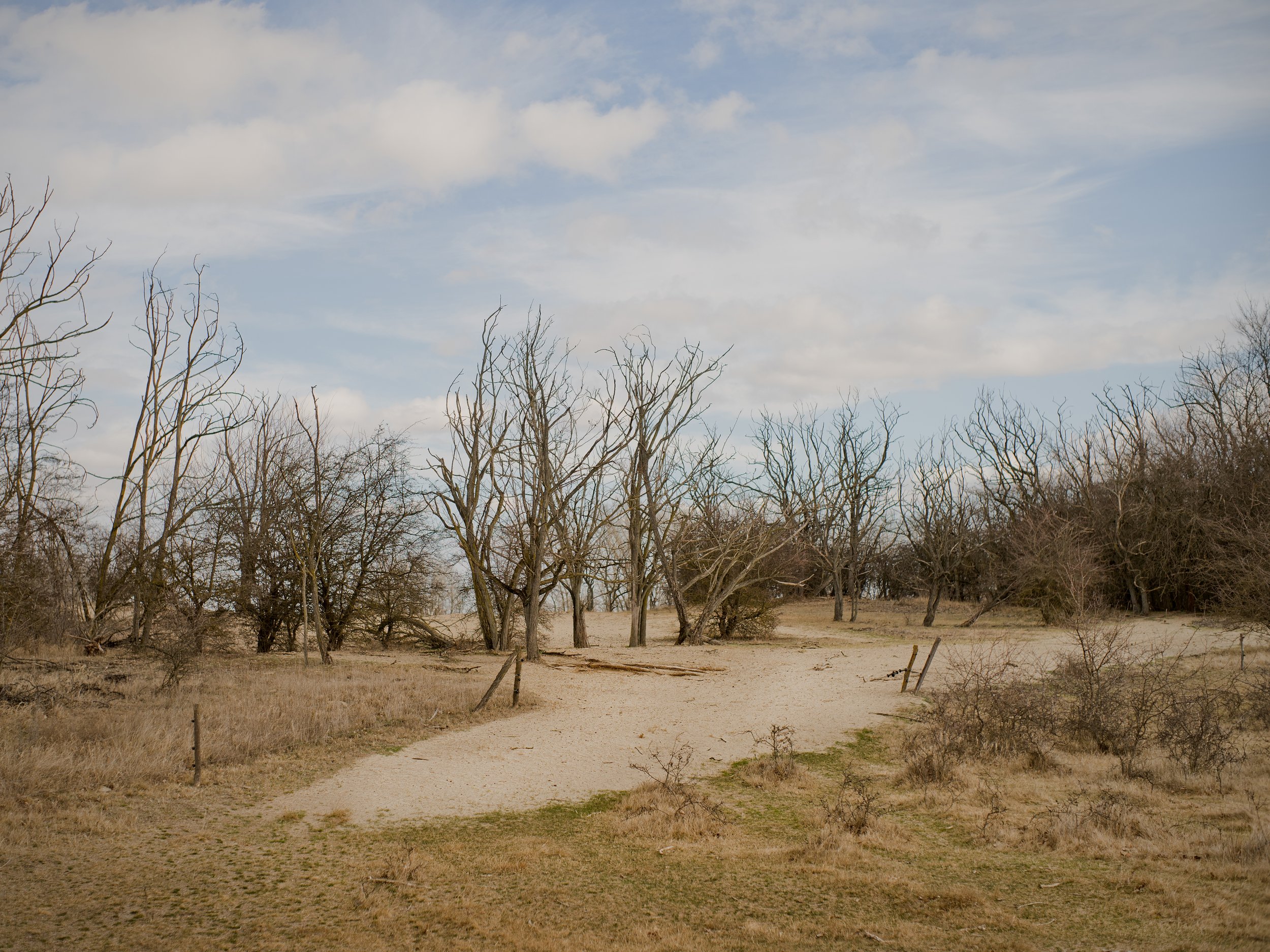 We'll stay even after this land dried out