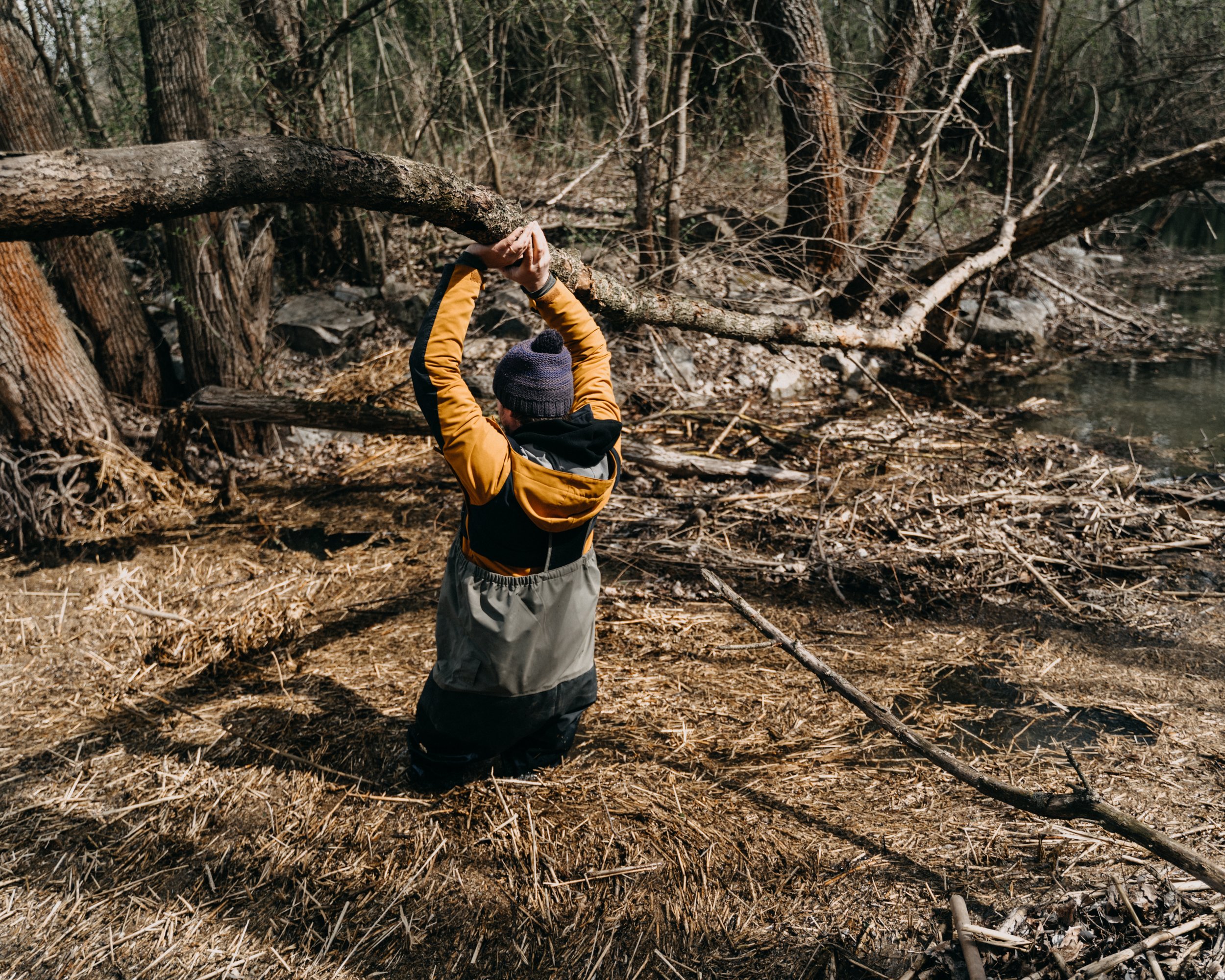  Slovakia, Istragov, 03 April 2023. Jakub Sigmund, field manager at BROZ removes branches as well as Common reed from a progressing river arm in order to improve water flow and the overall water regime. Diana Takacsova / NOOR 