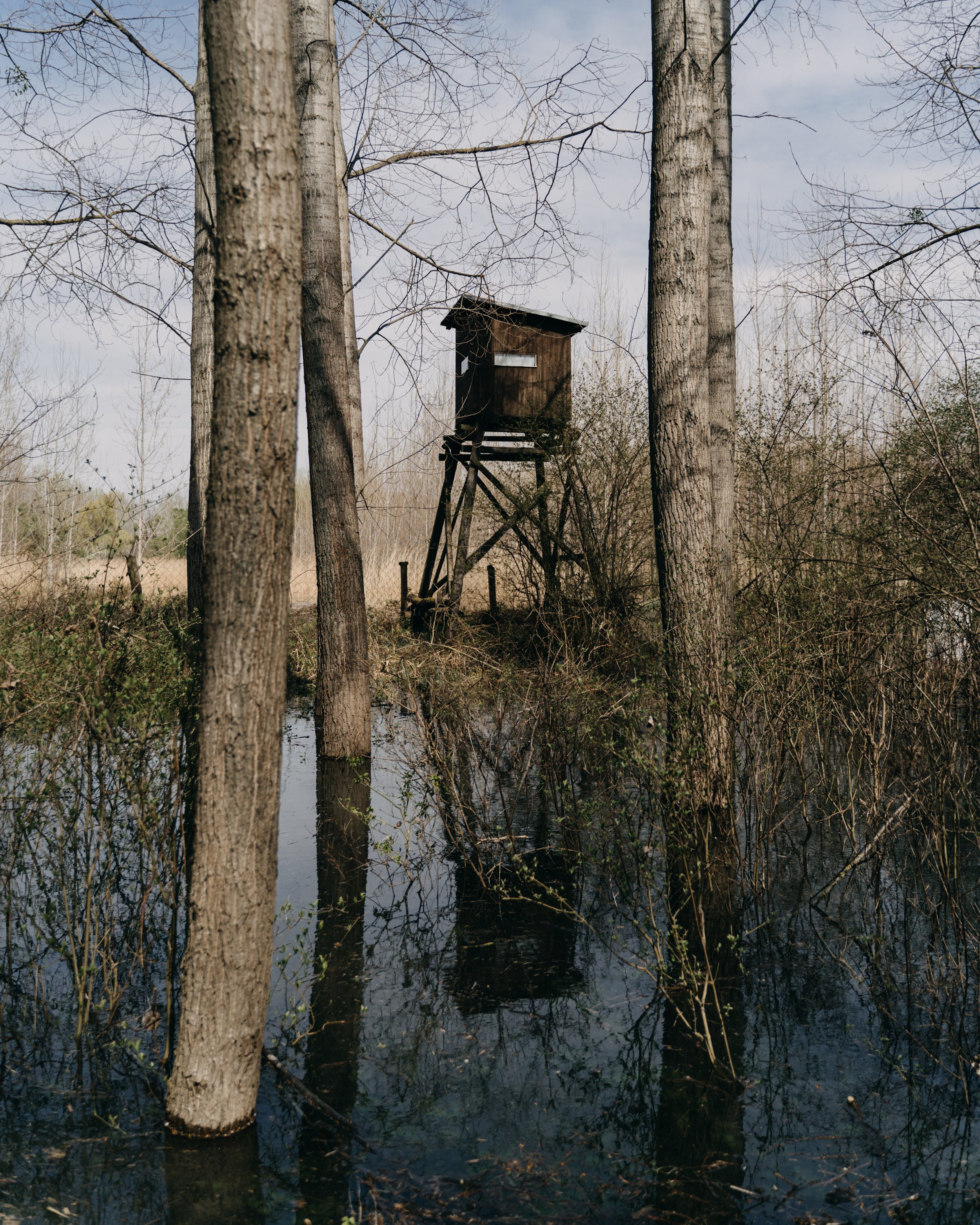  Slovakia, Dunajske luhy, 04 April 2023. A hunting blind and partially submerged trees mark the spring flooding near the Stare Trstie area. This part receives water once or twice per year, and is covered with water usually from March or April until J