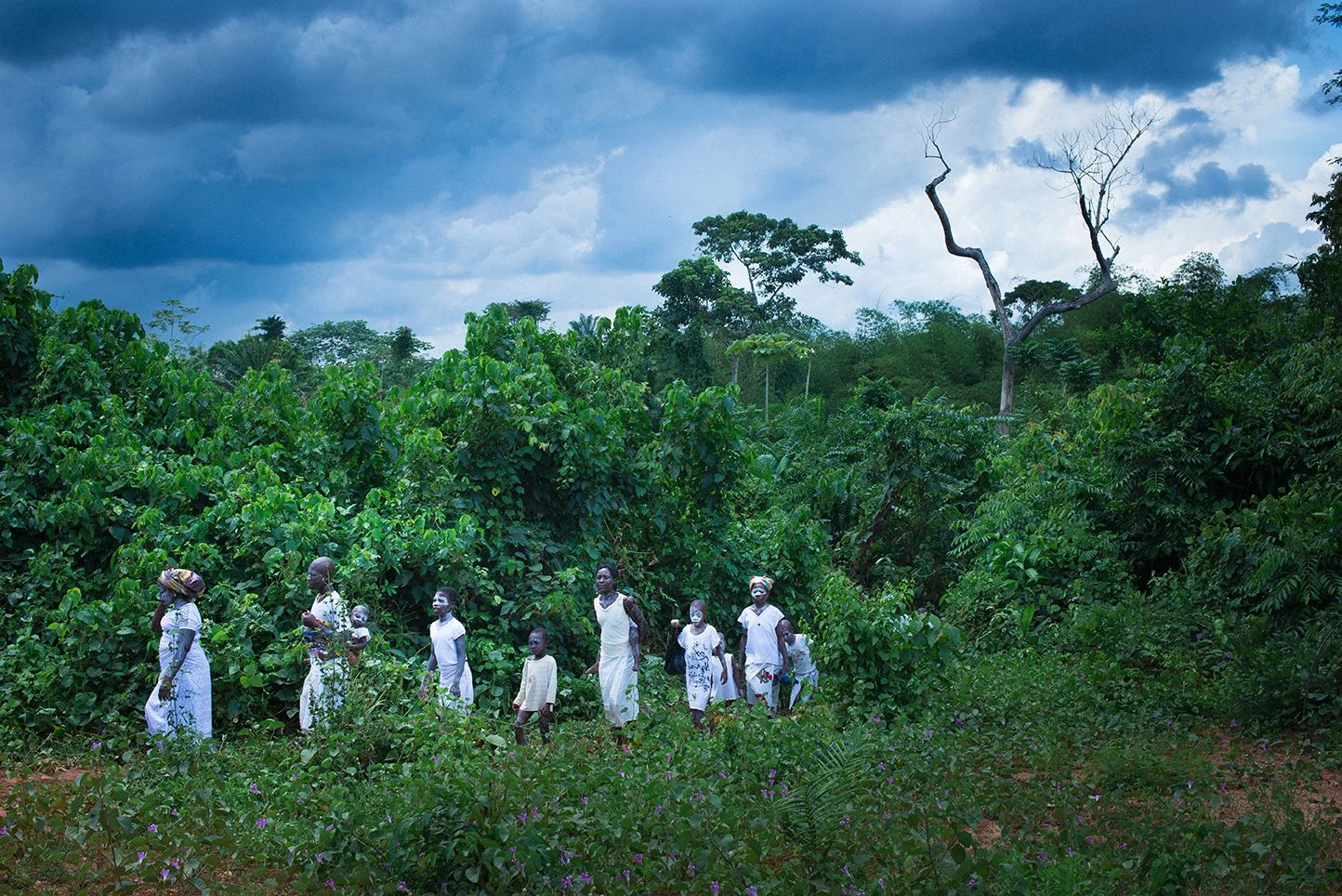 Visualising Regenerative Agriculture Practises: Participants announced