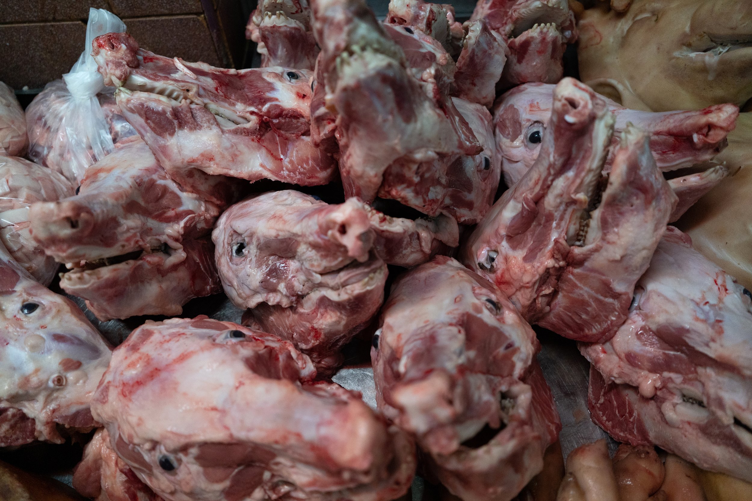  Thailand, Chiang Mai. 18 July 2023. Pig heads are sold in the fresh market after being distributed from the slaughterhouse. 