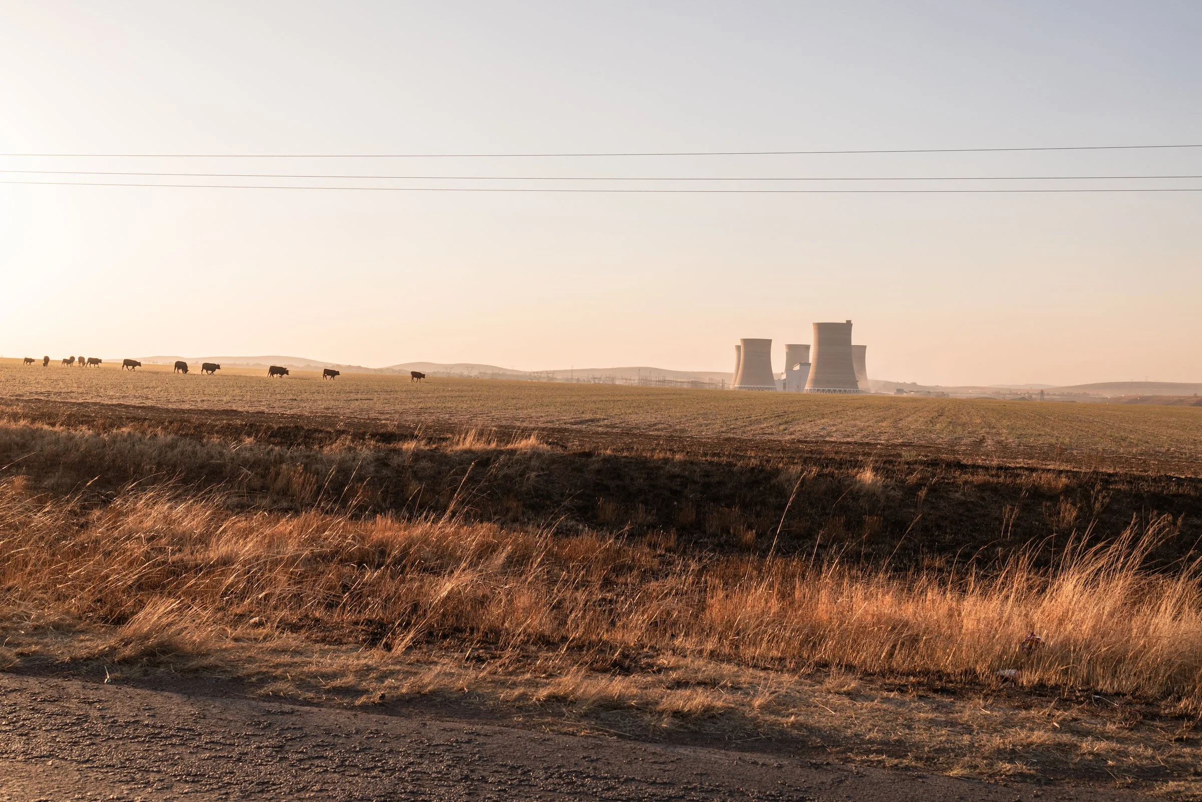 Exhibition: Shared Horizons: Stories from Combi-tracks — The Hague Edition