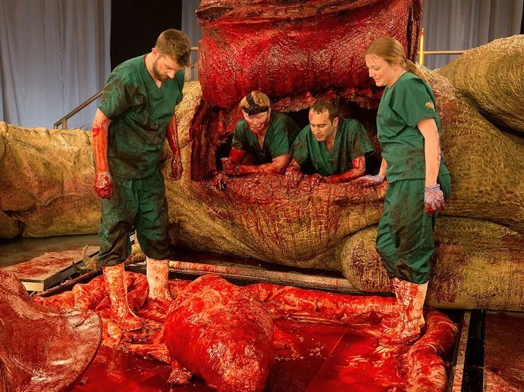 2096440_examining-the-organs_hy2vhyamxp64qwf6l2cajezrbeeatuw6lrlcsphco3flmkbrawuq_757x567.jpg