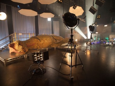 2096416_dino-on-set_hy2vhyamxp64qwf6l2cajezrbeeatuw6lrlcsphc.jpg