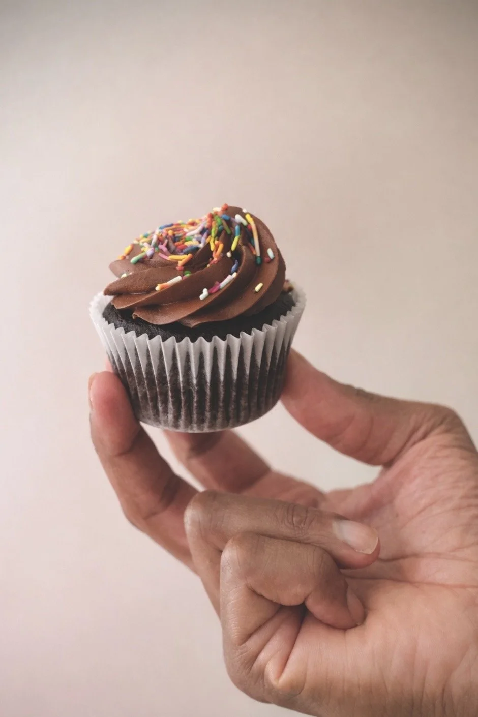 Chocolate Cupcake