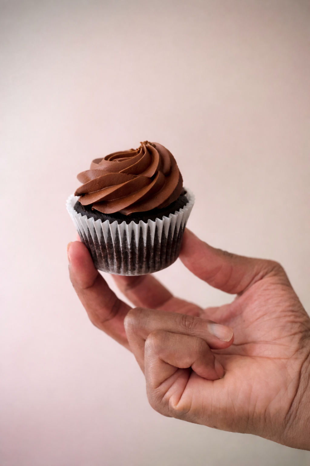 Vegan Chocolate Cupcake