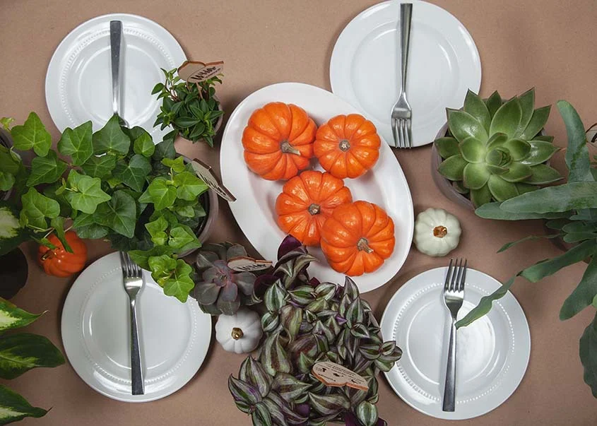 How to Plan a Friendsgiving Dinner.jpg