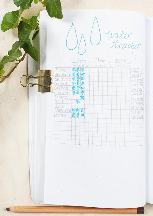 This basic spread can be upgraded however you like to track any aspect of your plant care routine. This example is a watering schedule you can check off or fill in when your plants get their weekly (or monthly) water. Perfect handwriting not required… obviously.