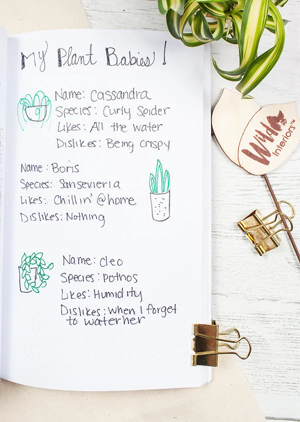 Cleo really appreciates the new watering checklist spread. Sorry, Cleo.