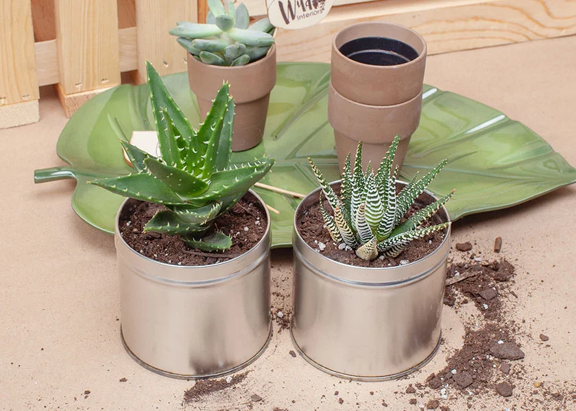 DIY Tea Tins 4.jpg