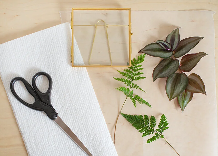 Wild Interiors — Add Natural Decor with DIY Pressed Leaf Art