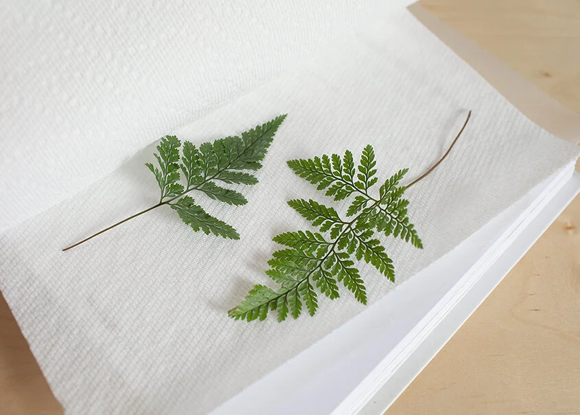 Wild Interiors — Add Natural Decor with DIY Pressed Leaf Art